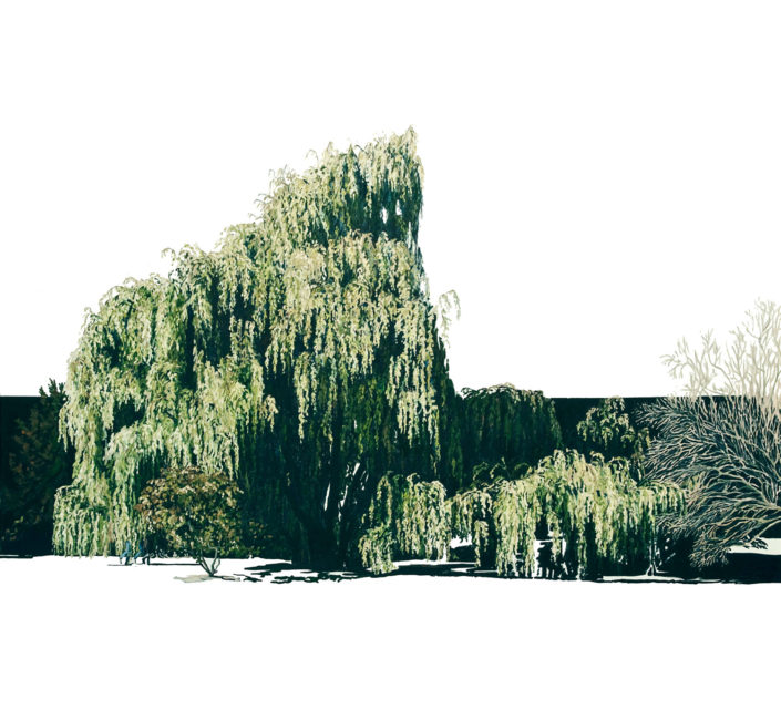 Silke Schoener, „In der Weide“