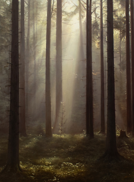 Michael Handt „Light Beam in the Forest“