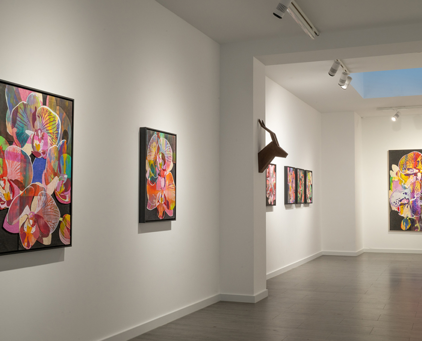 Ausstellung "Blüten" von Detlef Waschkau