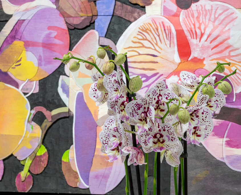 Ausstellung "Blüten" von Detlef Waschkau