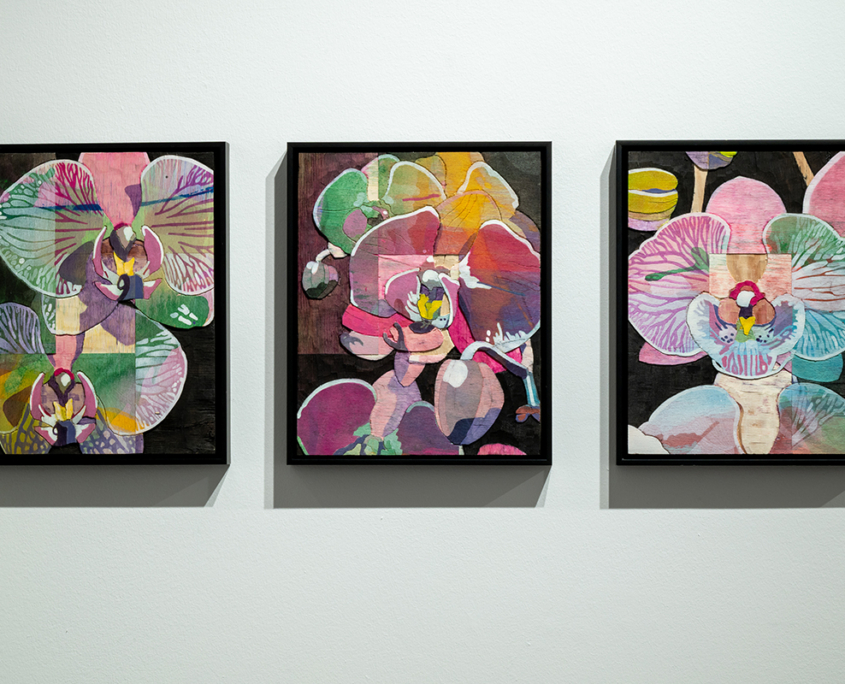 Ausstellung "Blüten" von Detlef Waschkau