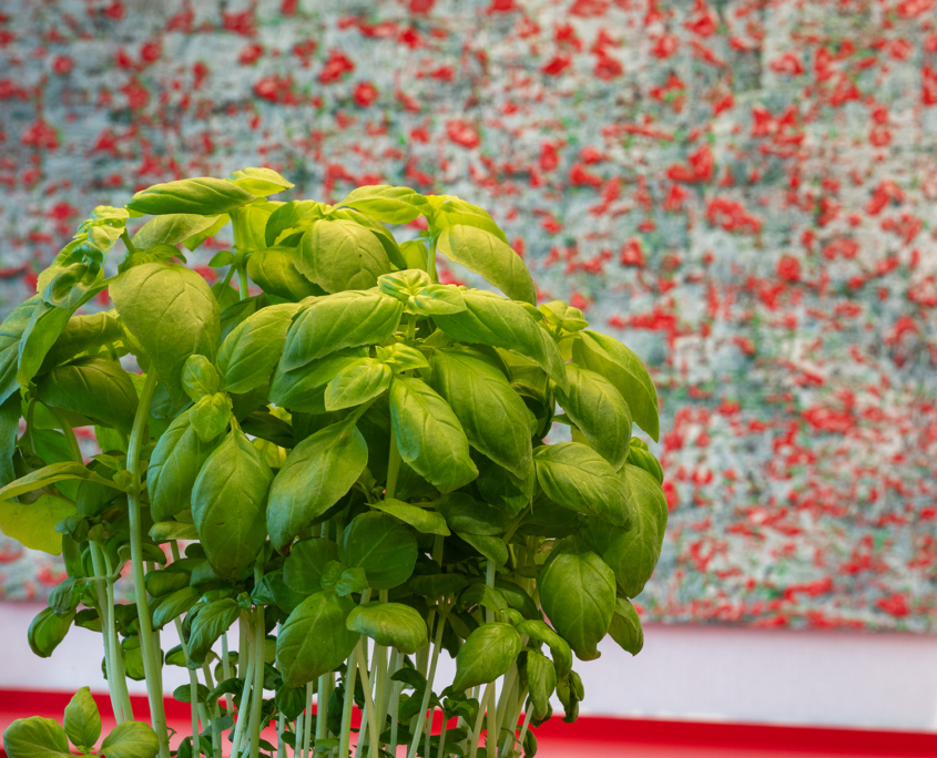 "Delikatessen" mit Sven Woytschaetzky und Trattoria Bar Centrale
